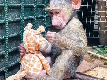 Seiten aus 4bis8 1 2024 E Paper