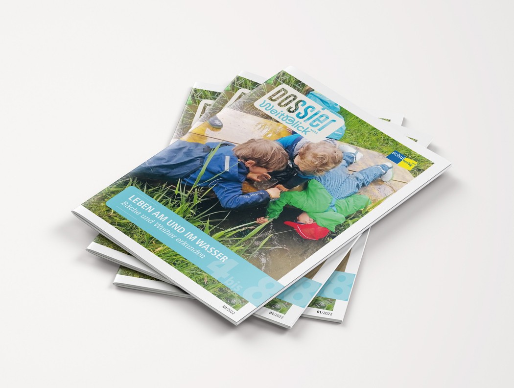 DossierWeitblick Brochure Mockup DesktopWasser mobil