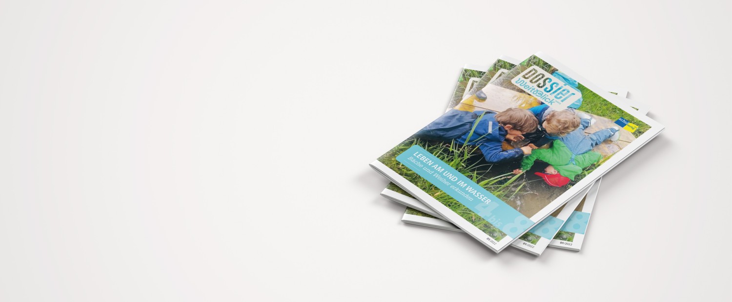 DossierWeitblick Brochure Mockup Desktop 90111