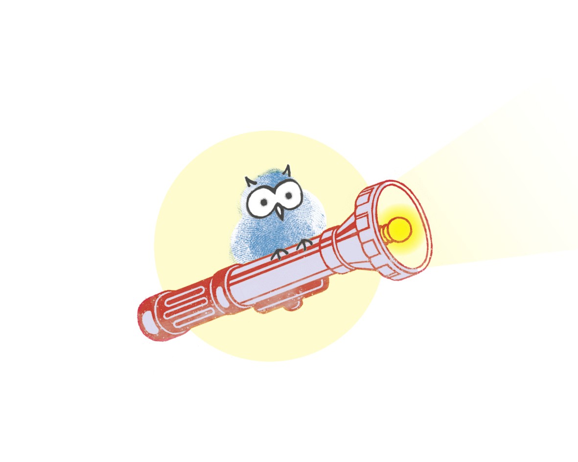 Leitfigur Eule4 mittig